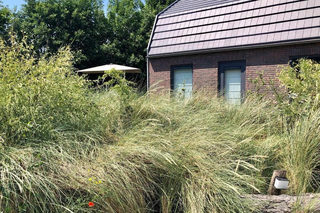 Villa Klein Geluk Egmond aan Zee Exteriör bild